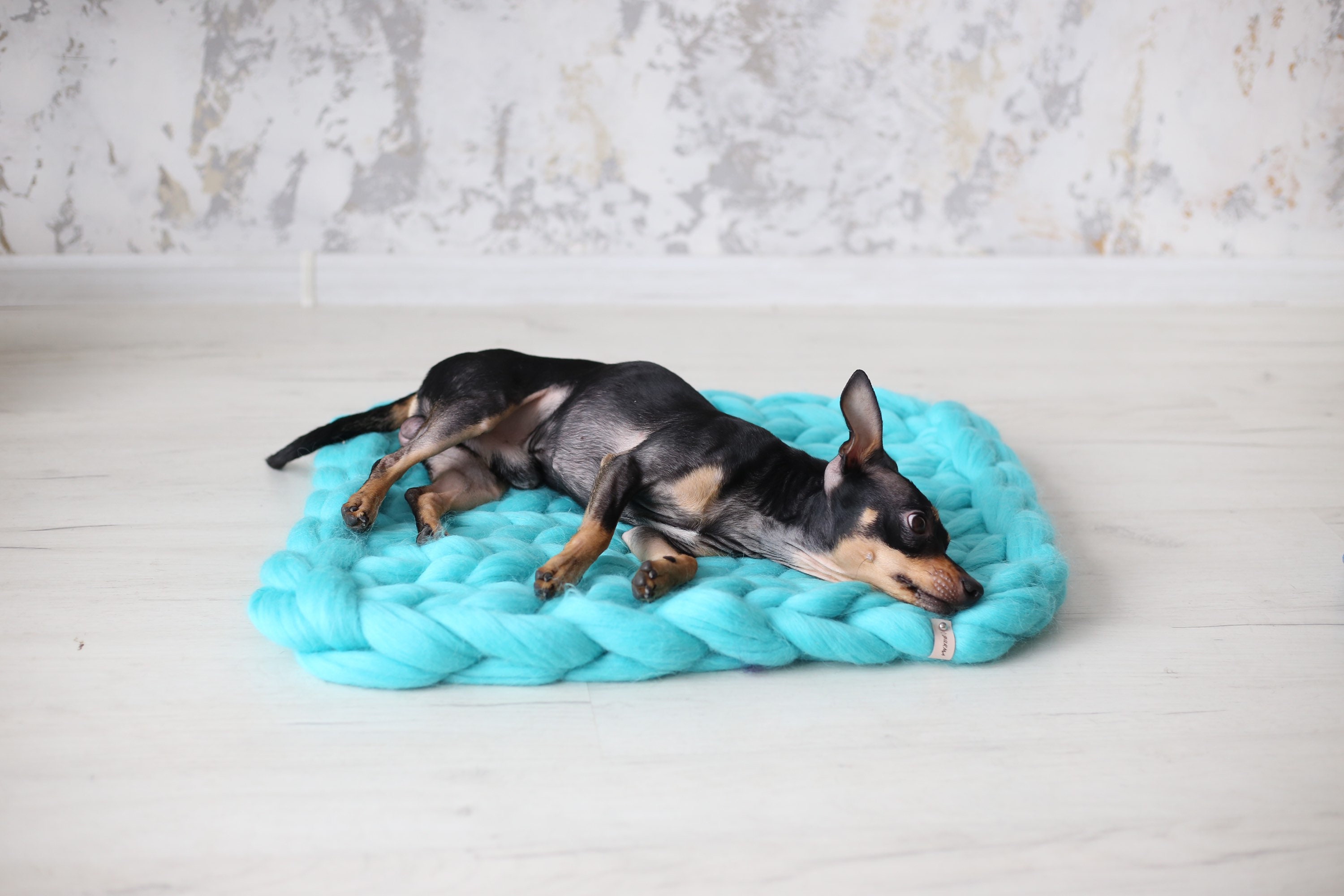 Dog placemat pet placemat. Dog bed cat bed pet bed. Dog Etsy