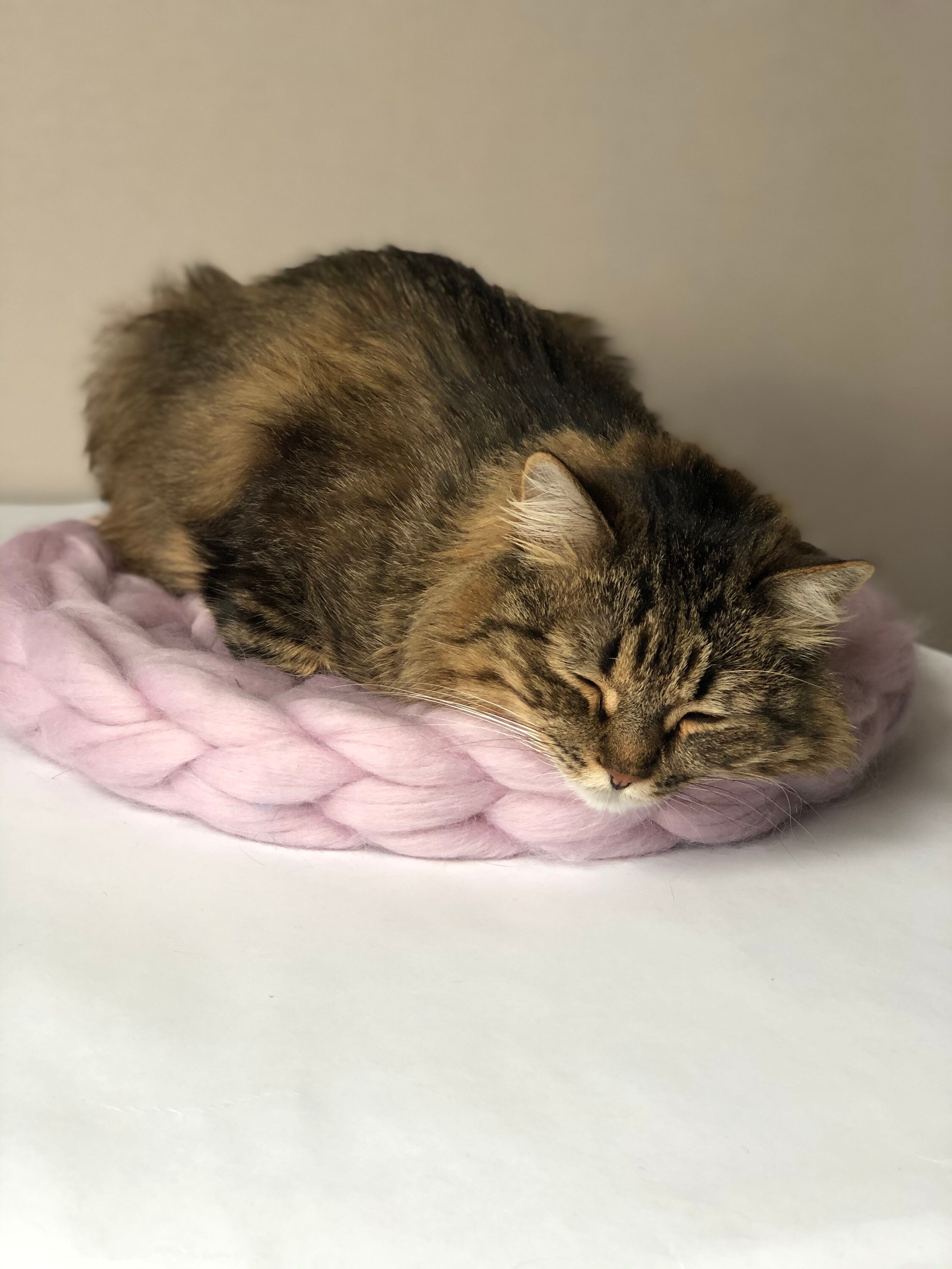 Wool cat cot. Cat bed pet bed. Cat lover gift. Cat cot pet Etsy