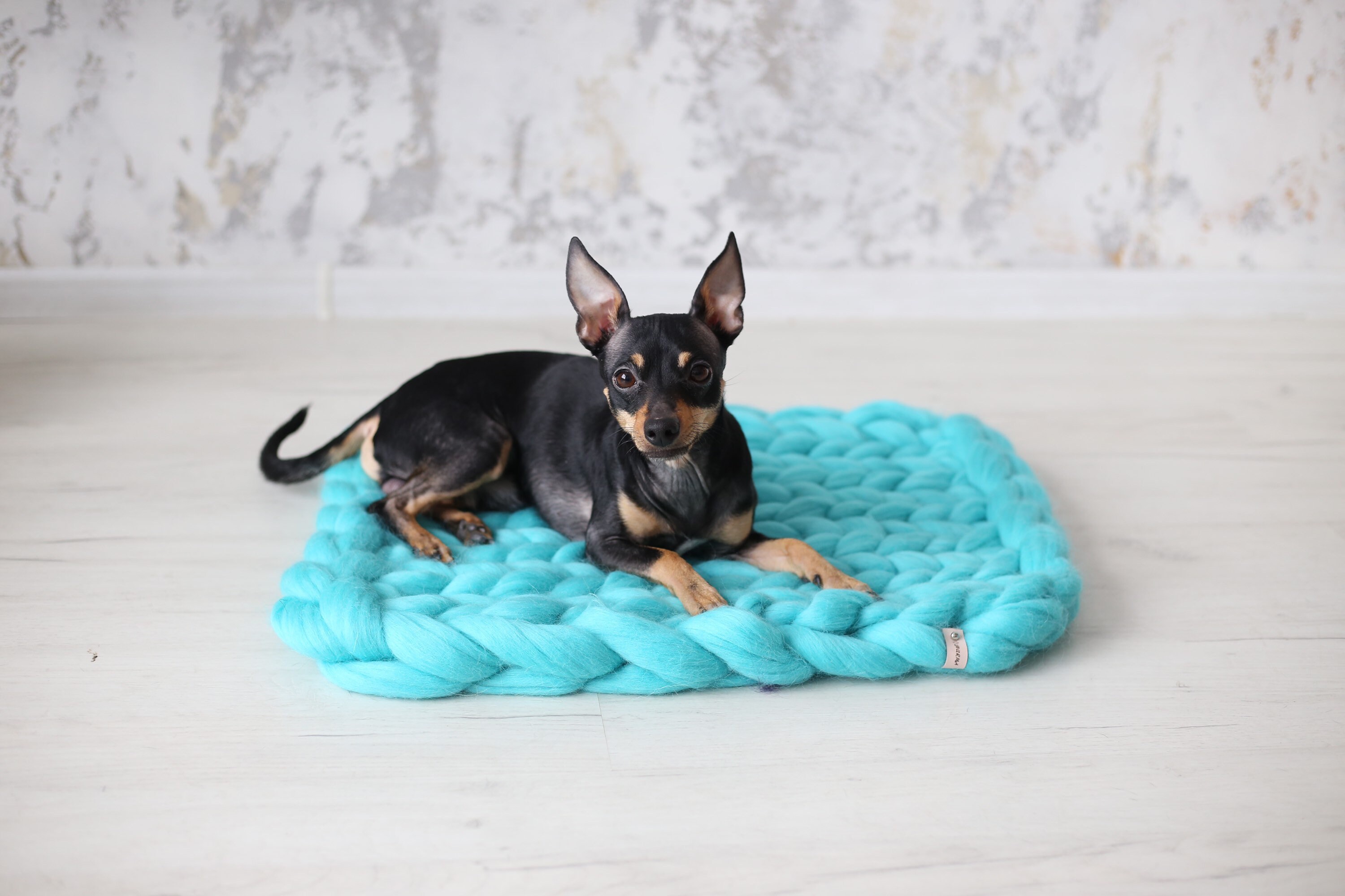 Dog placemat pet placemat. Dog bed cat bed pet bed. Dog Etsy