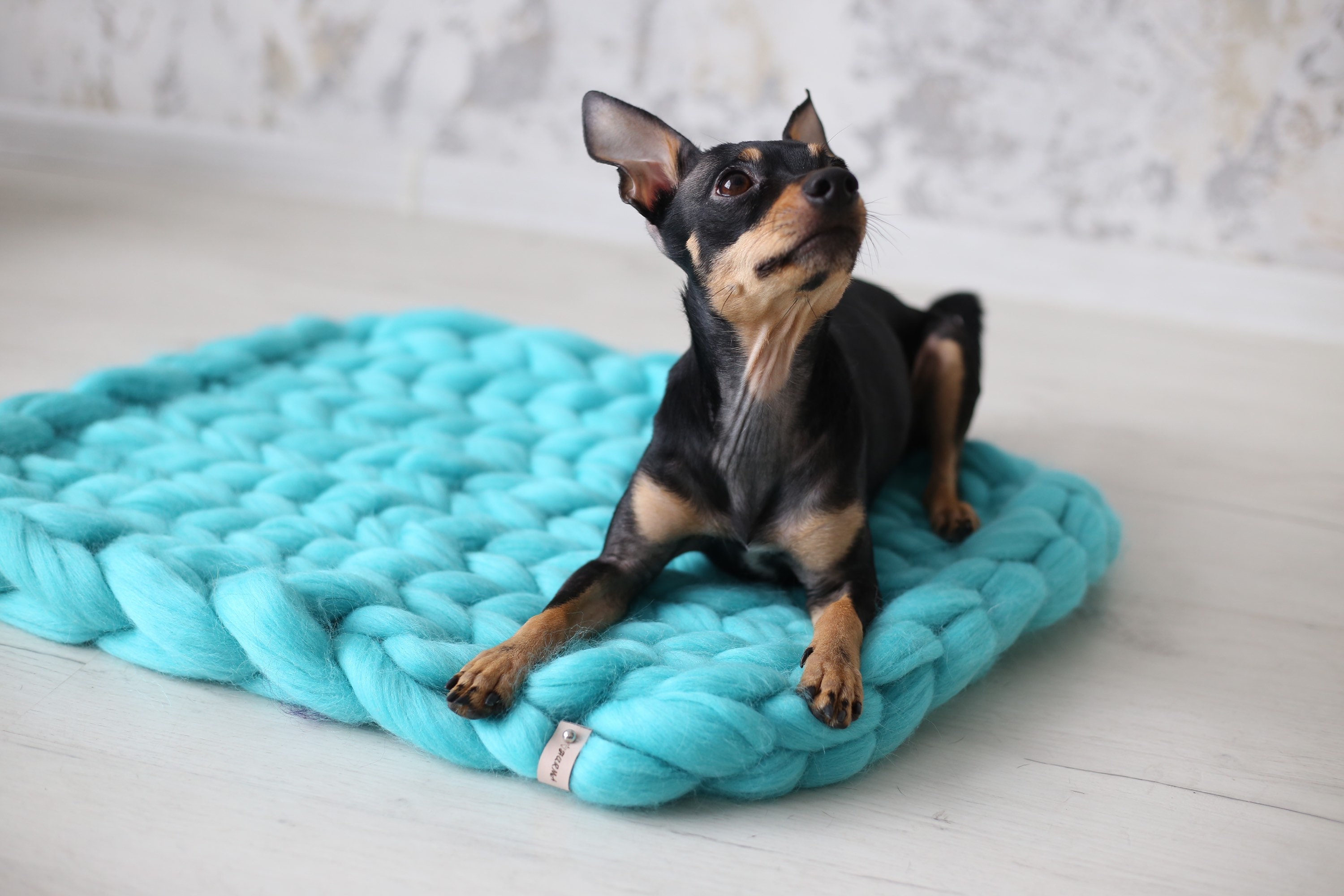 Dog placemat pet placemat. Dog bed cat bed pet bed. Dog Etsy