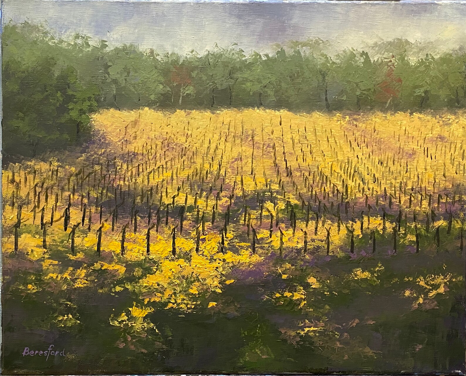 Original Oil Painting On Canvas Napa Valley 16x20 Etsy
