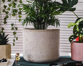 Large Concrete Plan Pot | Rustic 18cm Planter