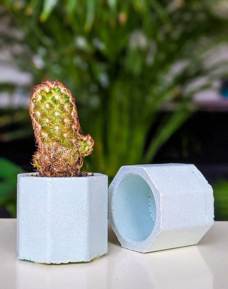 Concrete Plan Pot with Cactus Mini Plant Pot 4cm Blue