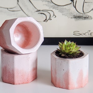 Concrete Plan Pot with Cactus Mini Plant Pot 4cm White with Pink