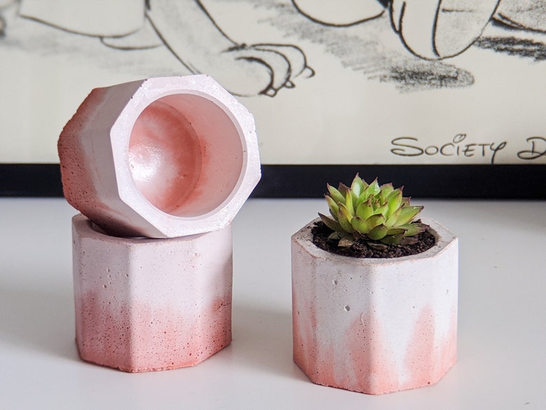Concrete Plan Pot with Cactus Mini Plant Pot 4cm White with Pink