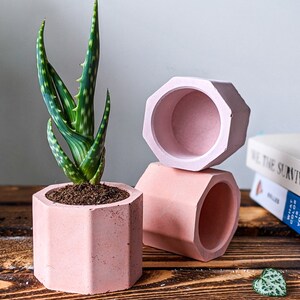 Concrete Plan Pot with Cactus Mini Plant Pot 4cm image 7