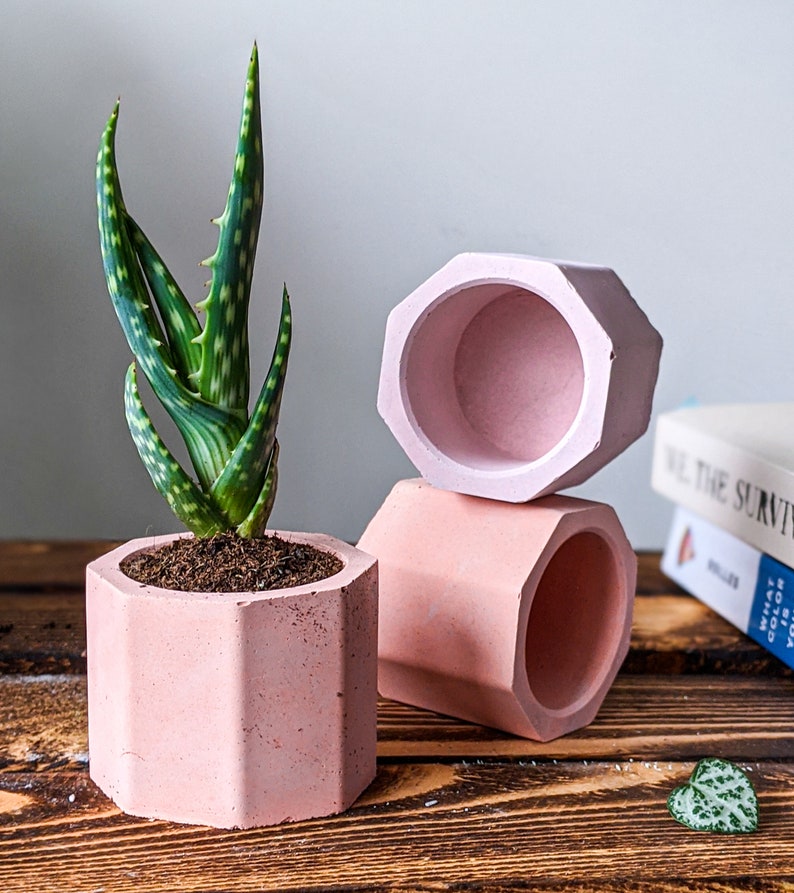 Concrete Plan Pot with Cactus Mini Plant Pot 4cm image 7