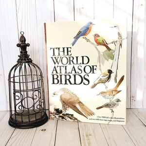 Coffee Table Book Birds 