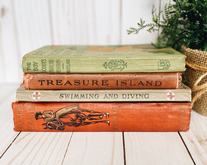Vintage Bookstack, Earthtone Books, Shabby Books, Decorative Books