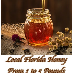 Local Honey Florida Ocala National Forest from 1 to 5 Pounds FREE SHIPPING