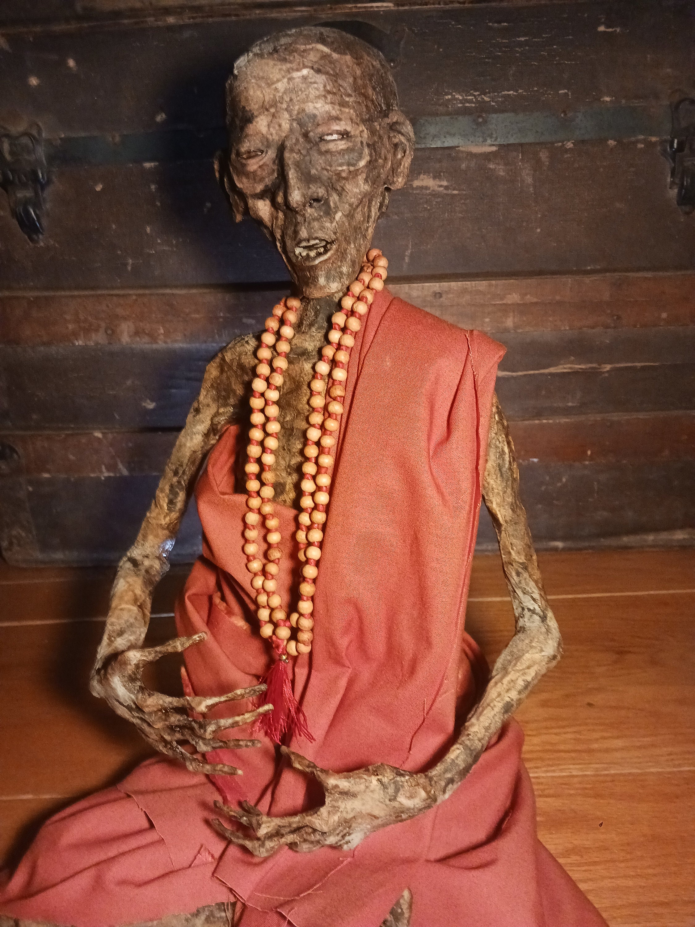 ミイラ化した僧侶の彫刻：ピグミーの奇妙な標本、高さ17インチ - Etsy 日本