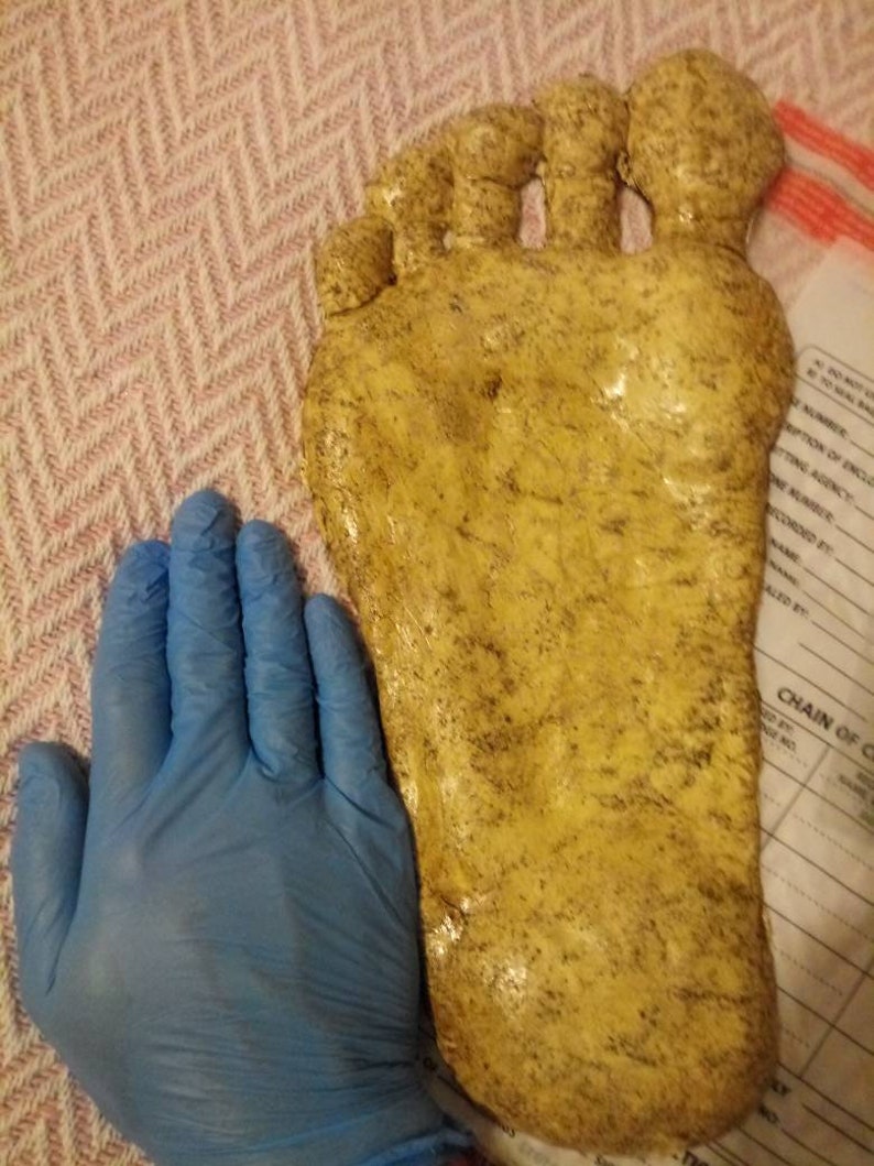 Bigfoot footprint casting Etsy