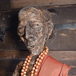 Gemummificeerde monnik Pygmy Oddity Museum Tentoonstelling Sideshow Gaff Specimen sculptuur op bestelling gemaakt, GEEN menselijke resten.