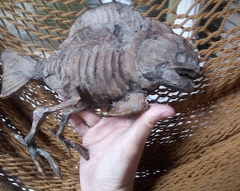 Darwin fish with legs dried specimen sideshow gaff sculpture