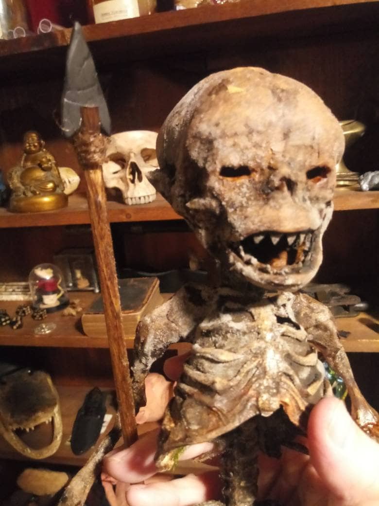 ミイラ化されたピグミー戦士 - Etsy 日本