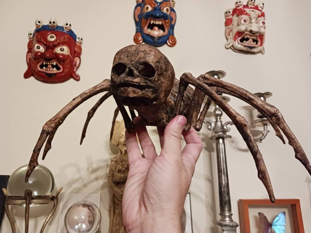 半分蜘蛛、半分人間の子供、まさにホラー！見世物小屋のミイラ怪人