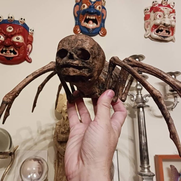 Half spider, half human child, all Horror!  sideshow gaff mummified freak