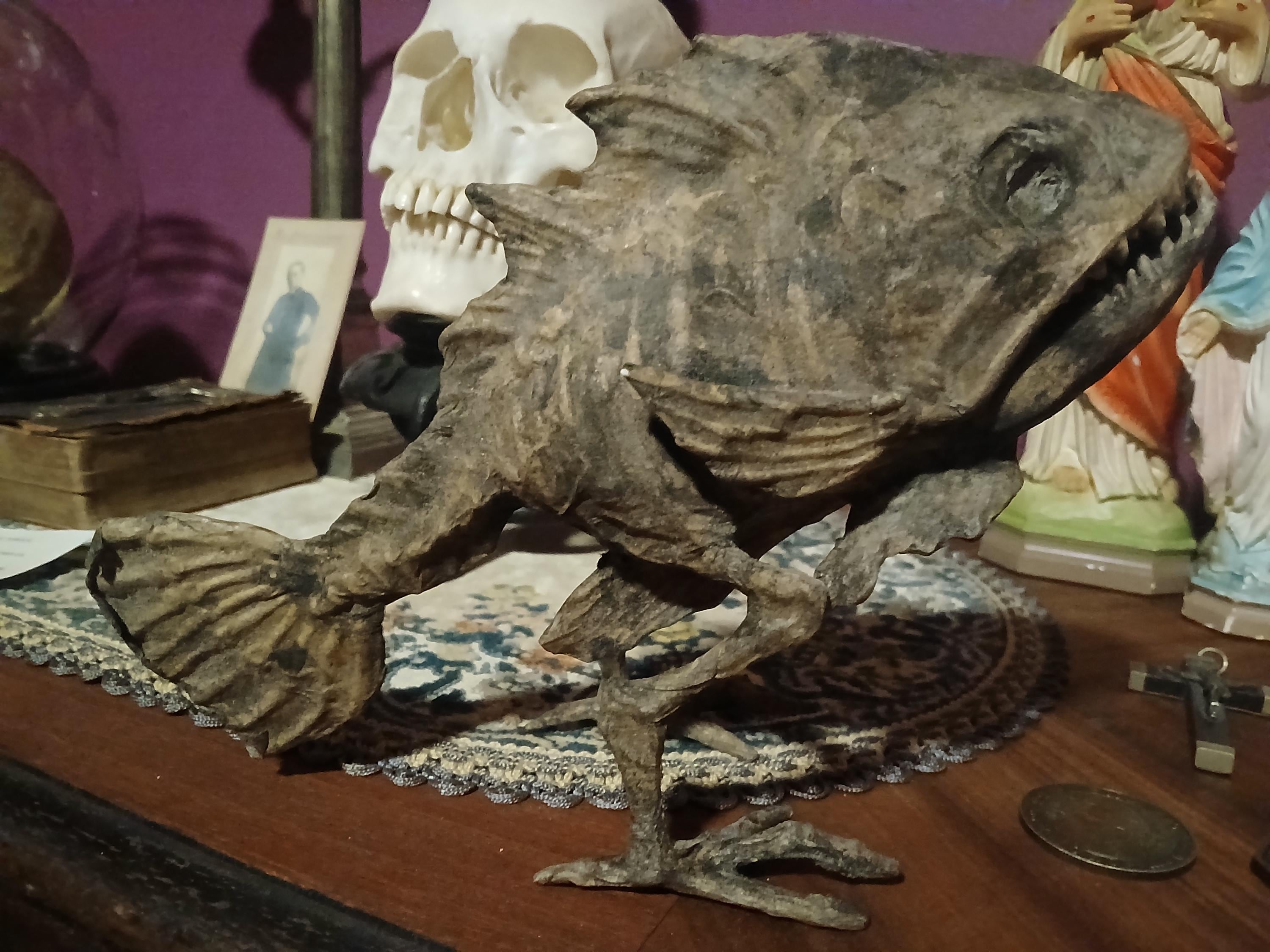 Darwin Fish With Legs Dried Specimen Sideshow Gaff Sculpture - Etsy