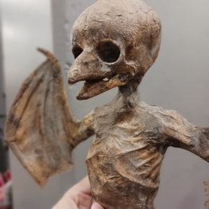 Baby Harpy bird child  mummified prop