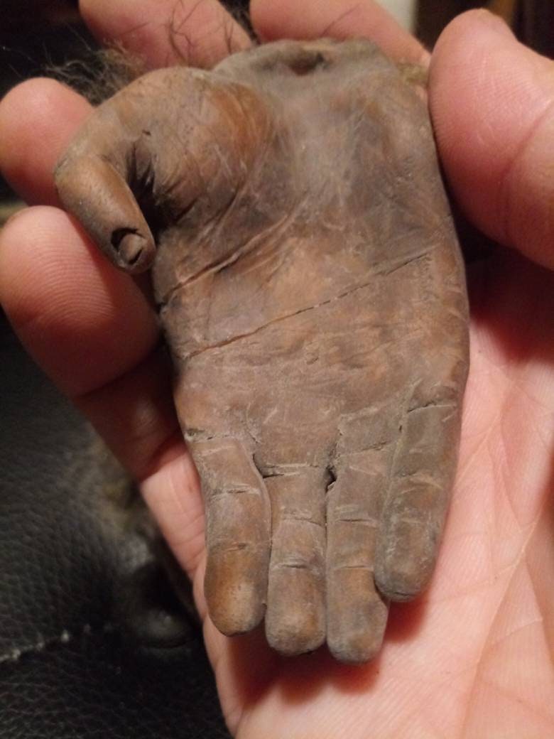 呪われた猿の手の奇妙なレプリカ彫刻 - Etsy 日本