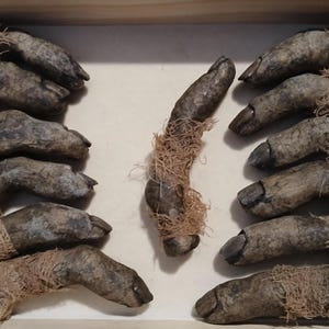Aegyptische Mumifizierte Fingerpuppe