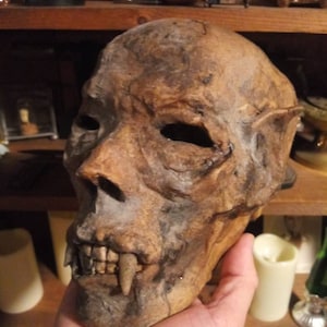 Mummified Vampire head sideshow gaff