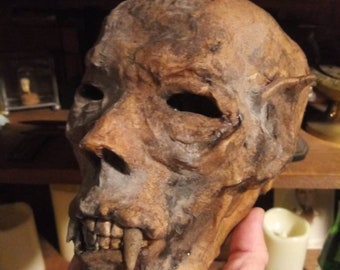 Mummified Vampire head sideshow gaff