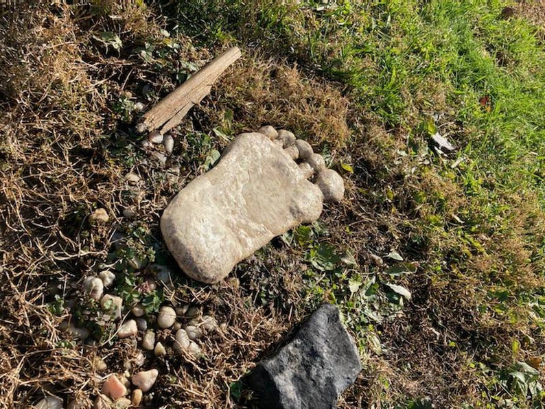 May include: A large, light gray stone shaped like a human foot, resting on a bed of brown grass and small stones.