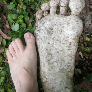 May include: A close-up of a bare foot next to a large, white, plaster cast of a foot. The cast is detailed with five toes and a textured surface.