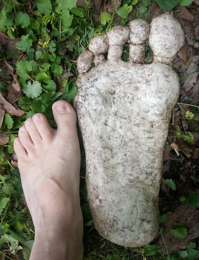 May include: A close-up of a bare foot next to a large, white, plaster cast of a foot. The cast is detailed with five toes and a textured surface.
