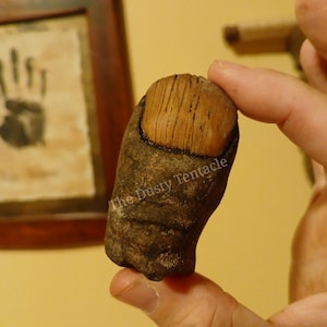 May include: A unique, hand-carved sculpture resembling a giant toenail. The nail portion is a light brown with wood grain texture, while the surrounding area is a darker, textured brown. The text "The Dusty Tentacle" is visible on the side.