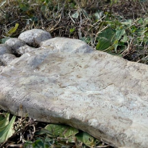May include: A large, white, concrete foot sculpture with a textured surface. The sculpture is lying on a bed of green grass.