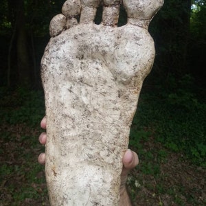 Bigfoot Sasquatch footprint casting