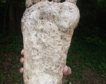 Bigfoot Sasquatch footprint casting