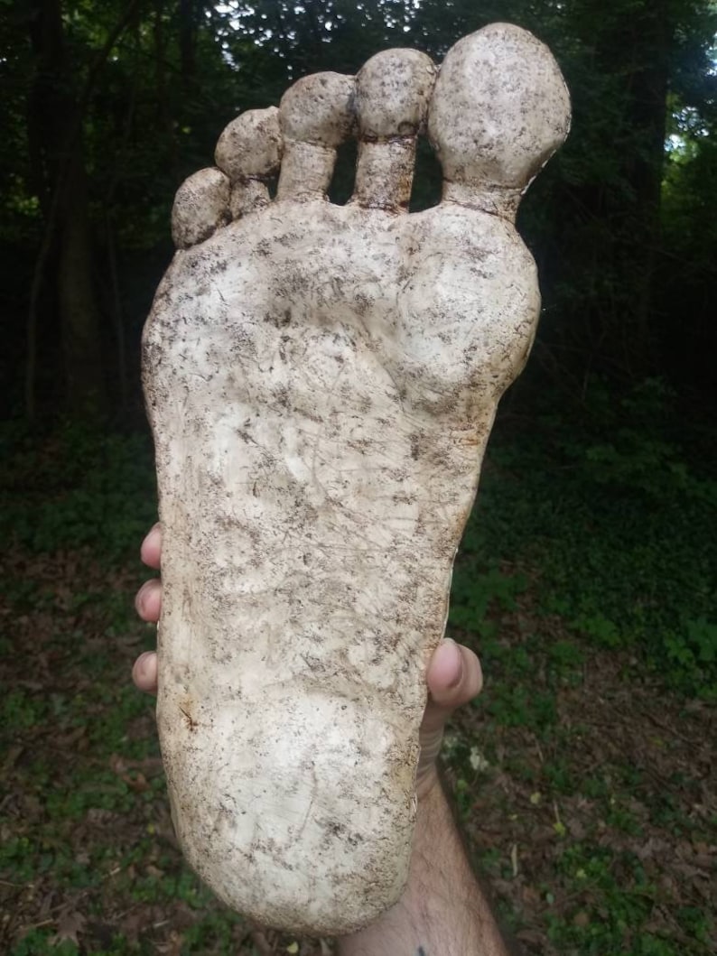 May include: A large, white, plaster cast of a human foot. The cast is detailed with the toes, arch, and heel. The cast is being held by a person's hand.