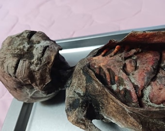 Replica realistica di un esemplare mummificato mummificato prelevato da un alieno durante un'autopsia.