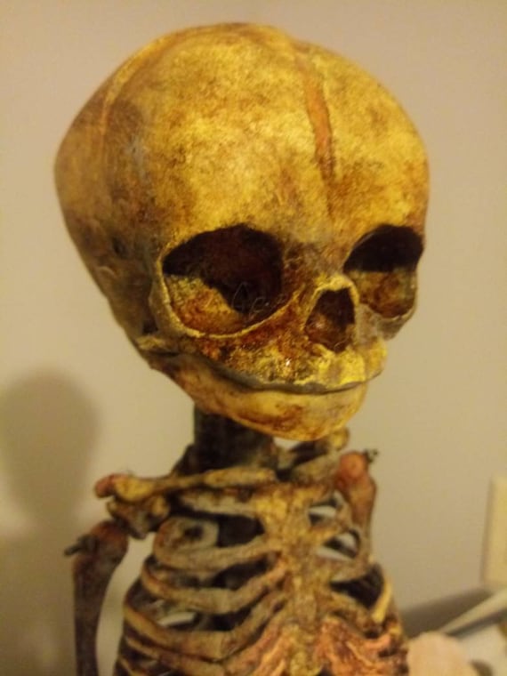 Baby Fetal Skeleton Replica Model - Etsy