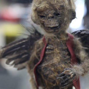 フライングモンキー オズの魔法使いにインスパイアされたミイラの見世物小屋の展示