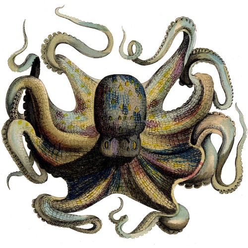 ビッグフット・サスカッチの足跡の鋳造 - Etsy 日本