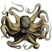 The Dusty Tentacle