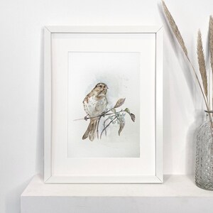 ORIGINAL PAINTING of Sparrow, Handmade Watercolor Bird Artwork, Home Decor, Bird Painting, Original artwork, Bird Art, Fine art