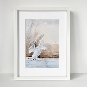 Dipinto ad acquerello originale di un cigno che sorge, opera d'arte sulla natura della fauna selvatica, acquerello dipinto a mano, opera d'arte firmata, decorazione per la casa con uccelli, cigno in volo