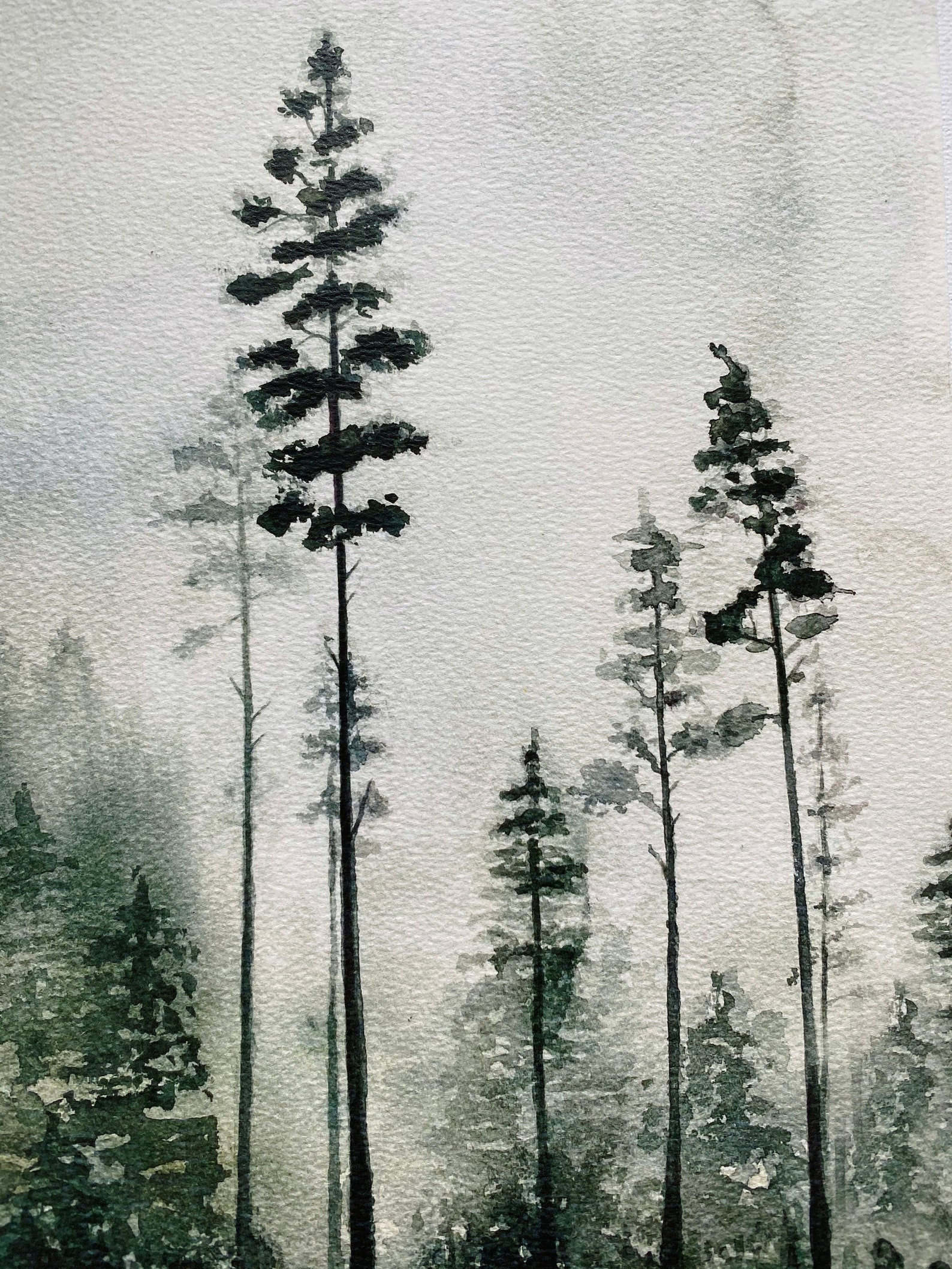 Nordic Forest Watercolor Art Print Foggy Pine Tree Nature - Etsy