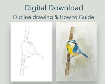 Bird Line Art Printable: DIY Watercolor Titmouse Painting Kit (Digital Download)