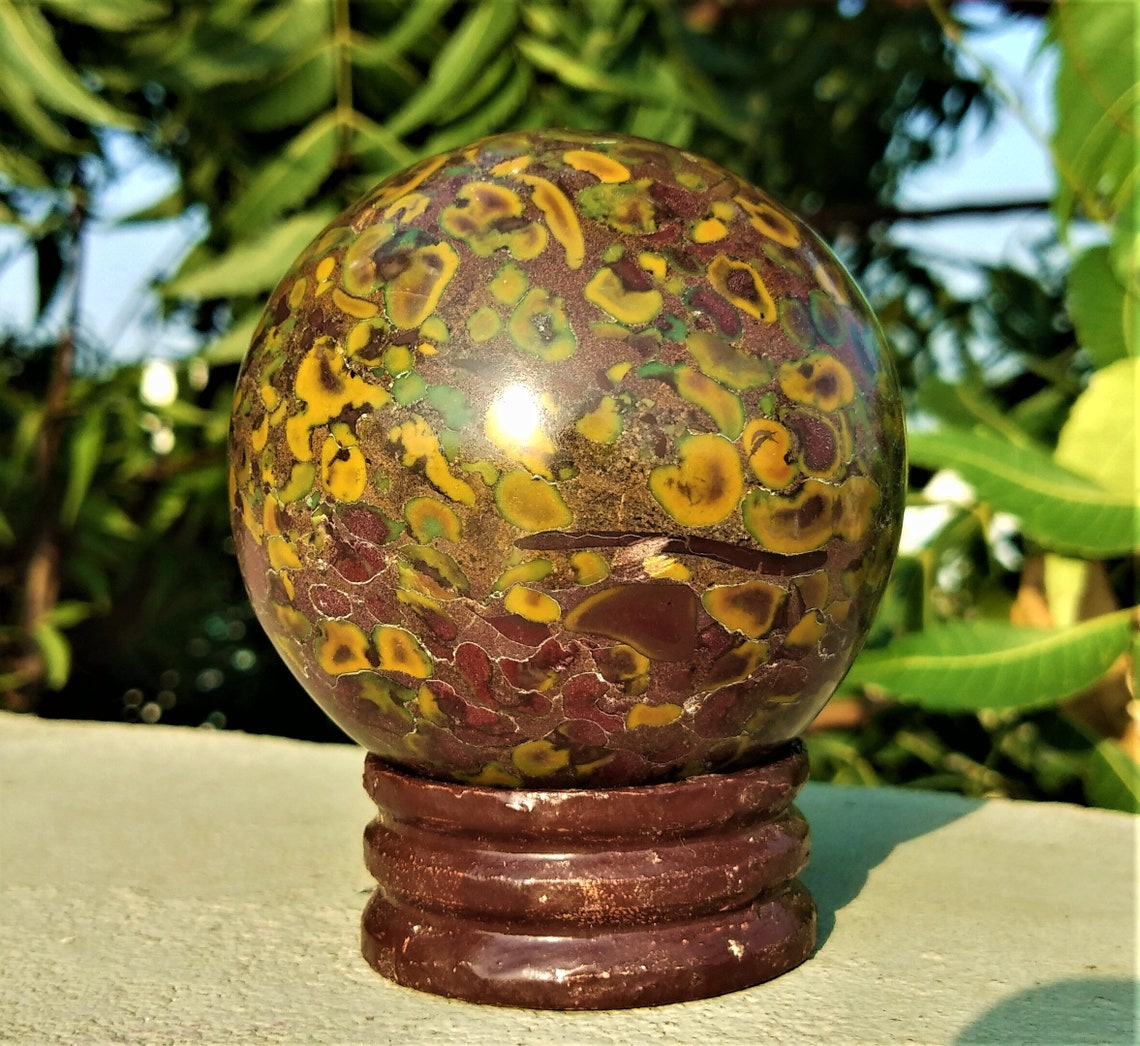 A Quality Large 60MM 310 Grams Fossil Coral Jasper Etsy