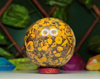 Esfera Metafísica de Jaspe Coral Fóssil Nee 50 MM | Cura