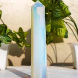 May include: A tall, opalescent crystal obelisk with a faceted top. The crystal has a pearly white base with streaks of blue and yellow. The obelisk is standing upright, with green plants in the background.