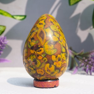 Beautiful 60MM fossil coral Jasper Stone ( Fruit Jasper Stone ) Metaphysical Egg Valentine's Gift