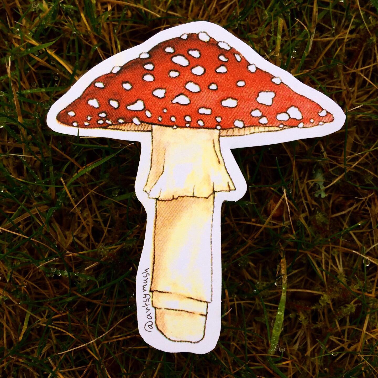 Mushroom Sticker Collection of 4 Artsymush Etsy