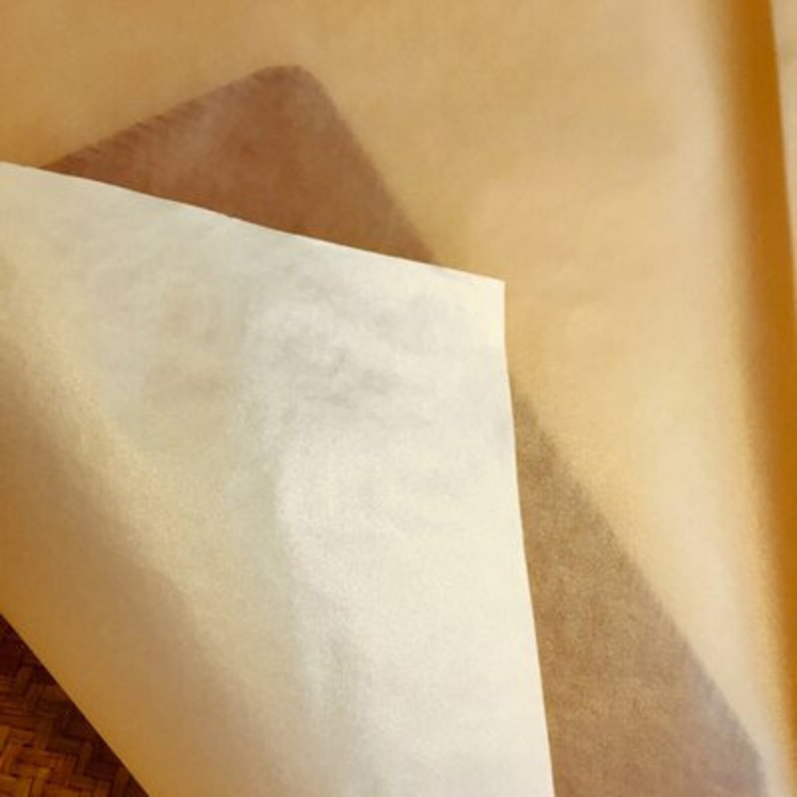 Vellum Paper Iridescent Gold 79x54.5cm VP7910908 Etsy
